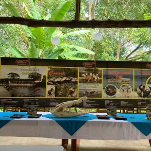 PHOTO-2019-11-24-20-35-02