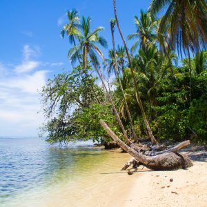 salamandra-tours-costa-rica-voyage-163