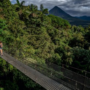 salamandra-tours-costa-rica-voyage-mistico-park-ponts-suspendus-001
