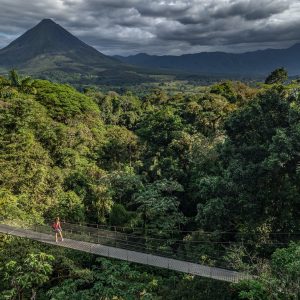 salamandra-tours-costa-rica-voyage-mistico-park-ponts-suspendus-029