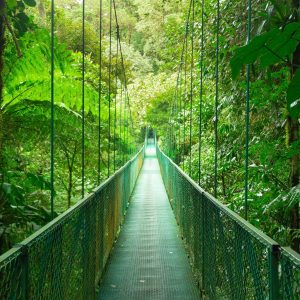 Pont suspendu Monteverde