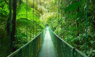 Pont suspendu Monteverde