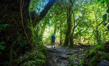Fotêt des nuages de Monteverde
