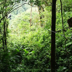 salamandra-tours-costa-rica-voyage-monteverde-007