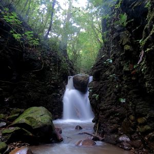 salamandra-tours-costa-rica-voyage-monteverde-009