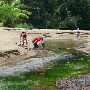 salamandra-tours-costa-rica-voyage-parc-national-corcovado-005