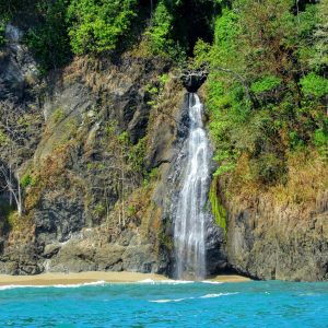 salamandra-tours-costa-rica-voyage-parc-national-corcovado-014