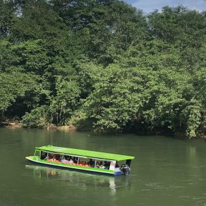 salamandra-tours-costa-rica-voyage-tortuguero-oasis-005