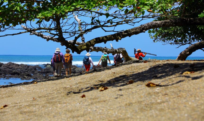 Voyage d’observation animalière au Costa Rica : parcs nationaux, faune sauvage et abolition de la chasse sportive